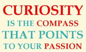 Curiosity is the compass